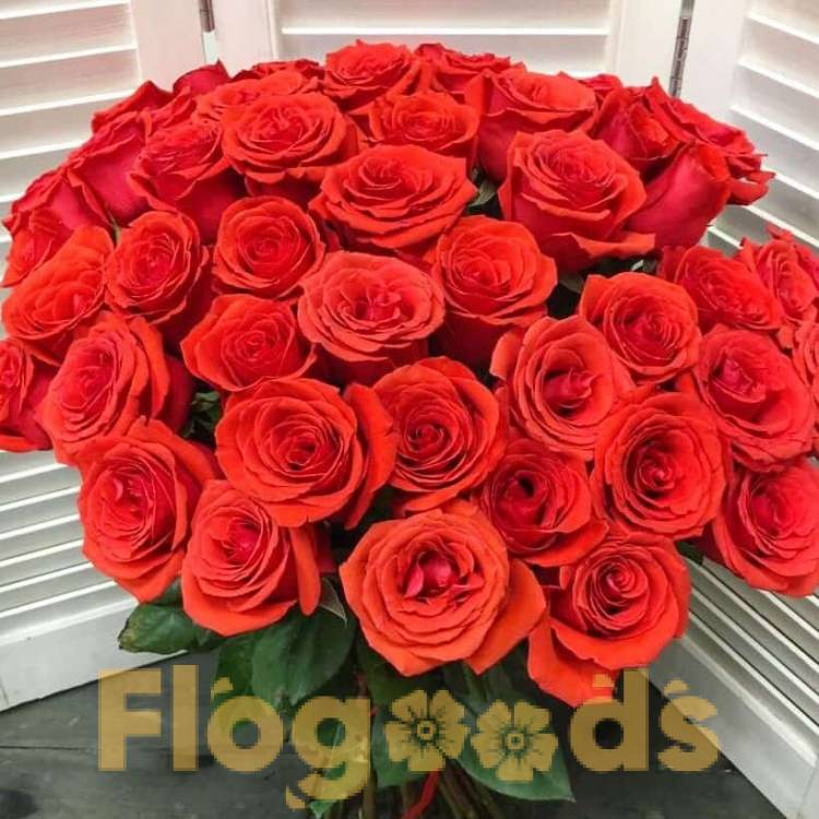 51 красная роза за 19 690 руб.